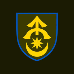 31 ОМБр